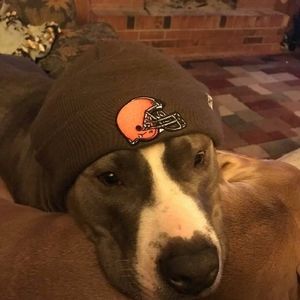 Meet your Posher, Tim